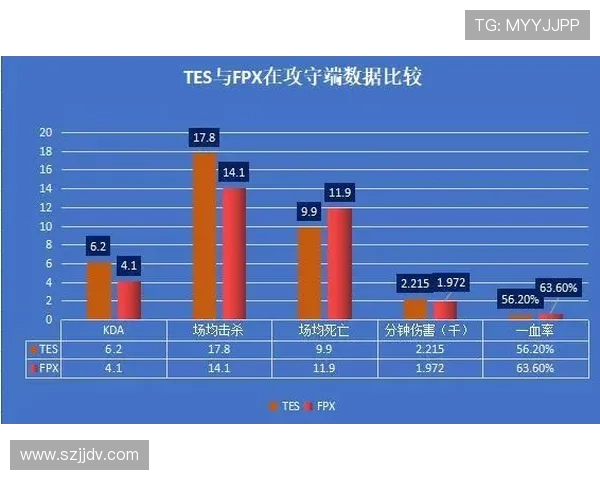TES战队比赛经验分析与数据解读探讨